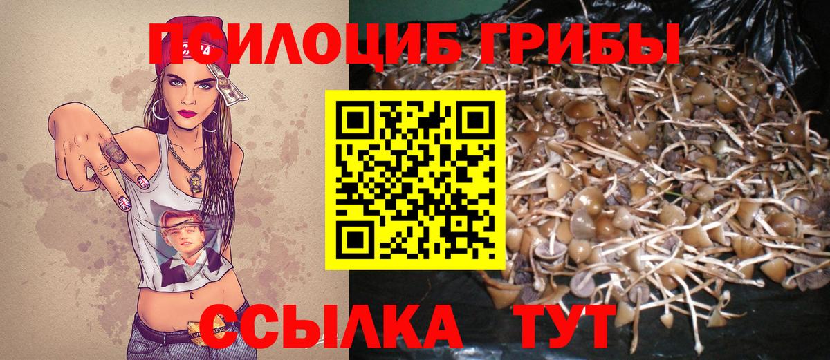 Псилоцибиновые грибы Psilocybine cubensis Прохладный